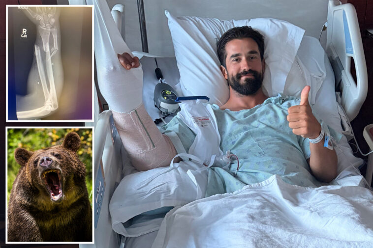hiker-details-horrifying-grizzly-attack-in-glacier-national-park