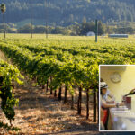 famed-napa-valley-vineyards-face-doomsday-reckoning-as-mammoth-winemaker-announces-shocking-move