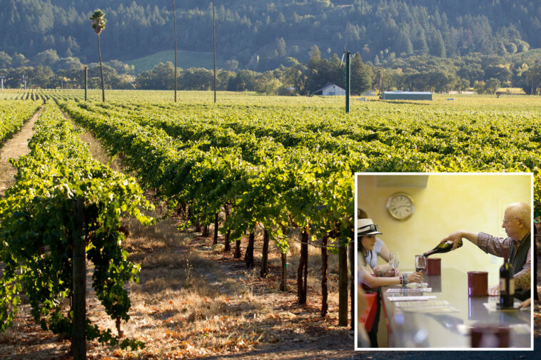 famed-napa-valley-vineyards-face-doomsday-reckoning-as-mammoth-winemaker-announces-shocking-move