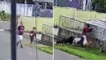 horrifying-footage-shows-moment-pack-of-dogs-attacks-boy-on-his-way-to-play-soccer