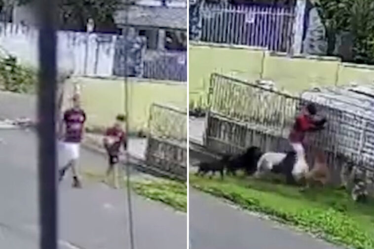 horrifying-footage-shows-moment-pack-of-dogs-attacks-boy-on-his-way-to-play-soccer