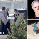 first-images-of-‘top-gun:-maverick’-actor’s-alleged-killer-in-handcuffs-after-brutal-stabbing-murder