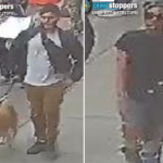 good-samaritan-pepper-sprayed,-slashed-by-violent-pair-after-intervening-in-nyc-‘dog-fight’:-cops