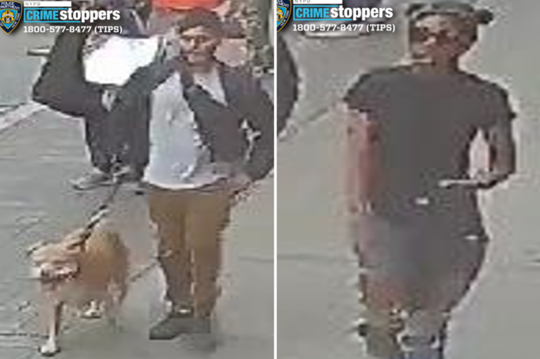 good-samaritan-pepper-sprayed,-slashed-by-violent-pair-after-intervening-in-nyc-‘dog-fight’:-cops