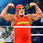 hulk-hogan-death-investigation-finds-‘no-evidence’-of-criminal-wrongdoing,-cops-say