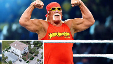 hulk-hogan-death-investigation-finds-‘no-evidence’-of-criminal-wrongdoing,-cops-say