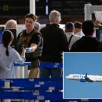 passenger-allegedly-boards-united airlines-flight-with-fake-boarding-pass,-forcing-plane-back-to-gate