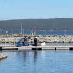 diver-killed-by-shark-off-australian-coast-—-third-fatal-attack-in-3-weeks