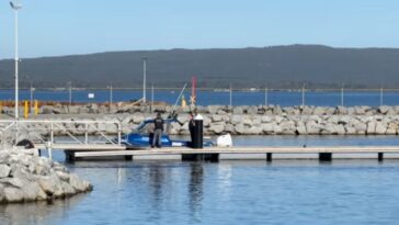 diver-killed-by-shark-off-australian-coast-—-third-fatal-attack-in-3-weeks