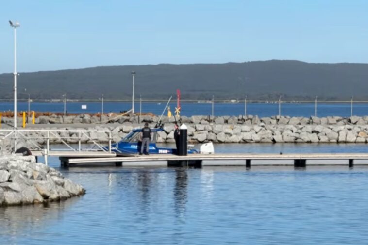 diver-killed-by-shark-off-australian-coast-—-third-fatal-attack-in-3-weeks