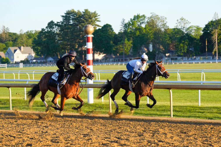 2026-belmont-stakes-undercard-picks:-best-bets-for-saturday’s-card-at-saratoga