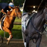 2026-belmont-stakes-prediection,-preview,-picks:-which-horses-to-use-in-exactas,-trifectas?