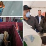 disaster-declared-as-2nd-screwworm-case-found-in-texas-near-border,-canada-bans-texas-cattle