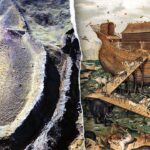 could-noah’s-ark-remains-be-buried-in-turkey?-new-findings-revive-age-old-debate