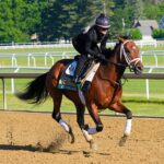 2026-belmont-stakes-picks:-how-should-bettors-play-the-favorite-renegade?