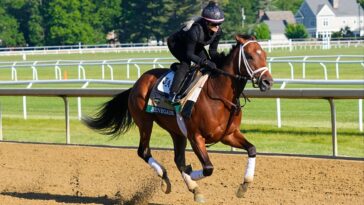 2026-belmont-stakes-picks:-how-should-bettors-play-the-favorite-renegade?
