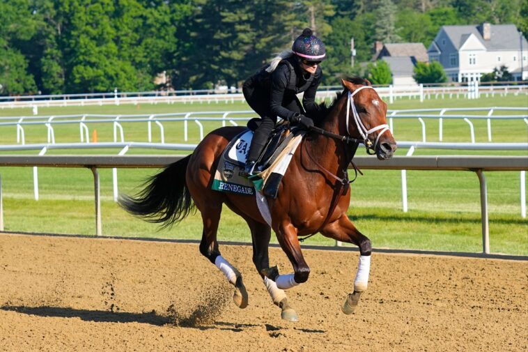 2026-belmont-stakes-picks:-how-should-bettors-play-the-favorite-renegade?