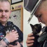 kitten-tossed-from-car-window-finds-paw-some-new-home-with-rescue-cop
