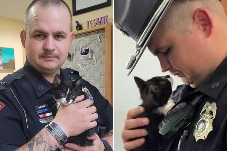 kitten-tossed-from-car-window-finds-paw-some-new-home-with-rescue-cop