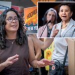 ‘complete-hypocrite:’-mamdani-backed-congress-candidate-slams-billionaires-and-ai-industry-while-raking-in-their-cash