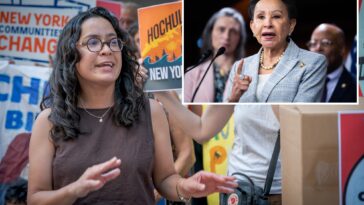 ‘complete-hypocrite:’-mamdani-backed-congress-candidate-slams-billionaires-and-ai-industry-while-raking-in-their-cash