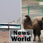 news-of-the-world:-what-you-missed-this-week-internationally