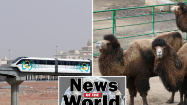 news-of-the-world:-what-you-missed-this-week-internationally
