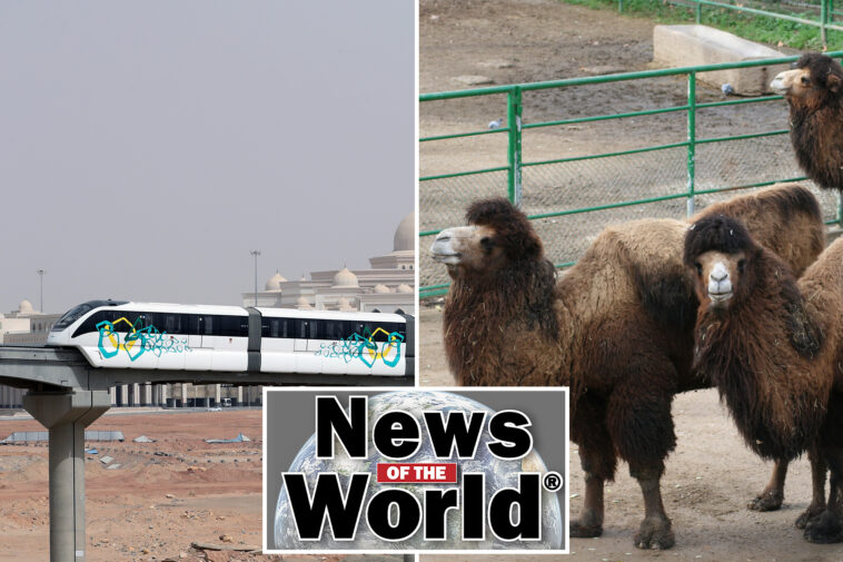 news-of-the-world:-what-you-missed-this-week-internationally