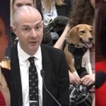 white-coat-waste-and-house-republicans-lead-charge-to-defund-cruel-animal-testing-in-fy27-spending-bills