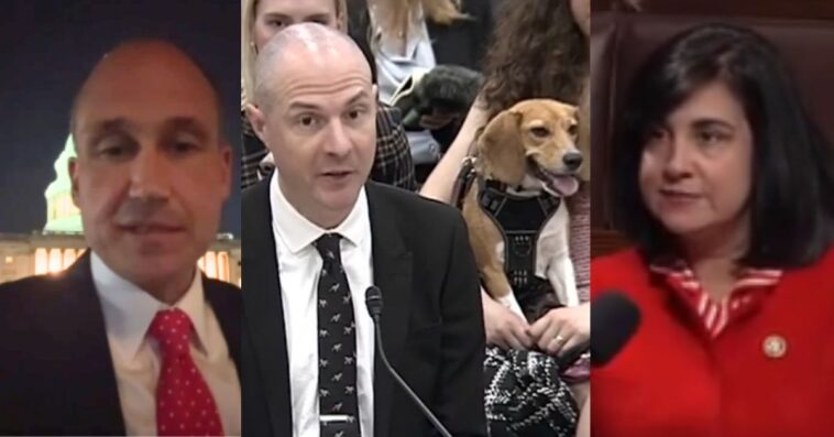 white-coat-waste-and-house-republicans-lead-charge-to-defund-cruel-animal-testing-in-fy27-spending-bills