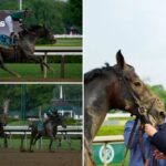 golden-tempo-wins-2026-belmont-stakes-with-another-late-comeback