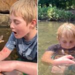 ‘little-steve-irwin’-snatches-up-snakes,-purposely-gets-bitten-for-fun