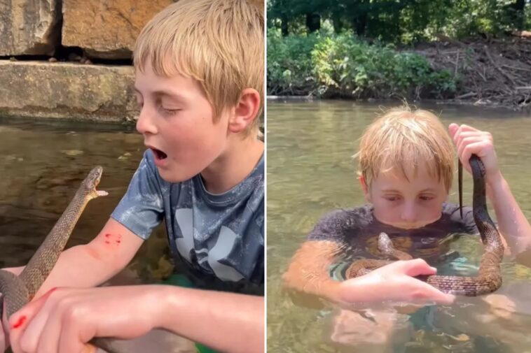 ‘little-steve-irwin’-snatches-up-snakes,-purposely-gets-bitten-for-fun