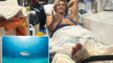 surfer-escapes-death-in-jaws-of-aussie-shark-—-and-says-he-used-a-simple-trick-to-survive