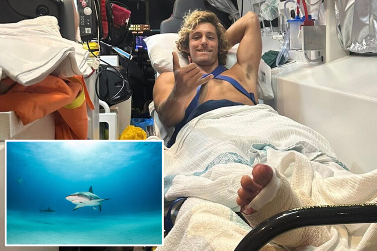 surfer-escapes-death-in-jaws-of-aussie-shark-—-and-says-he-used-a-simple-trick-to-survive