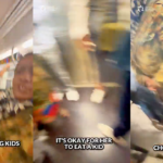 woman-allegedly-choked-subway-rider,-yelled-antisemitic-remarks-in-attack-caught-on-video:-police