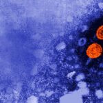 experimental-hepatitis-b-drug-might-carry-a-“functional-cure”-for-specific-patients