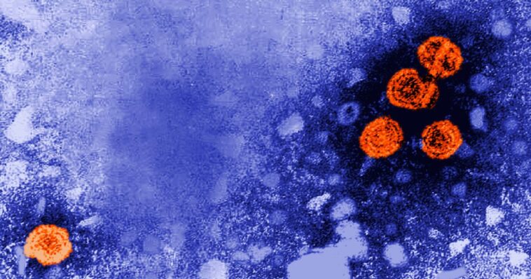 experimental-hepatitis-b-drug-might-carry-a-“functional-cure”-for-specific-patients