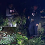 85-year-old-man-killed-by-falling-tree-in-freak-accident-at-nyc-park:-cops