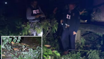 85-year-old-man-killed-by-falling-tree-in-freak-accident-at-nyc-park:-cops