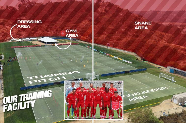 switzerland-national-team-releases-shocking-graphic-for-california-soccer-facility