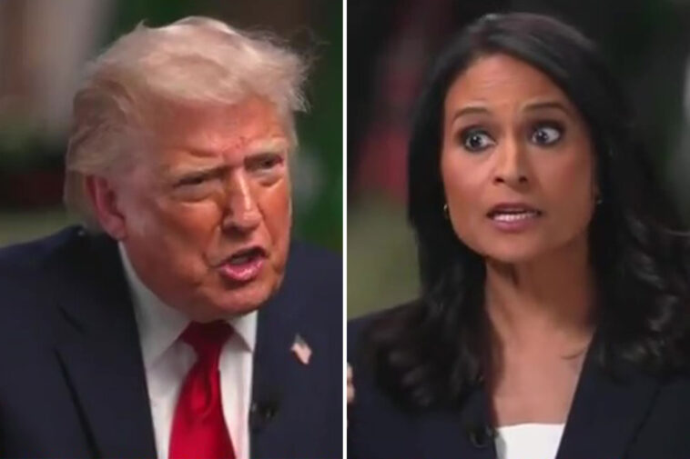 nbc-reporter’s-six-word-claim-about-california-elections-that-sparked-trump-storming-off