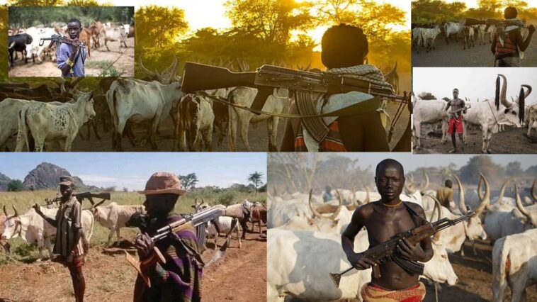 who-is-funding-fulani-militants-killing-christians-in-nigeria?
