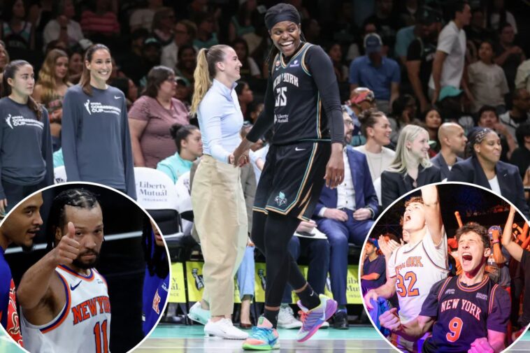 liberty-feel-sense-of-connection-to-knicks-and-‘special-type-of-energy’-title-chase-brings-to-city