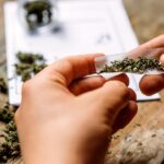 legalizing-pot-didn’t-kill-the-black-market,-it-created-a-marketing-department-for-it