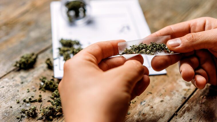 legalizing-pot-didn’t-kill-the-black-market,-it-created-a-marketing-department-for-it