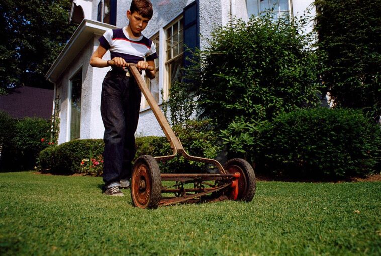 the-summer-job-is-disappearing.-here’s-what-gen-z-needs-to-learn-fast