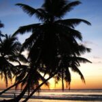 trump-eyes-purchase-of-strategic-islands-in-indian-ocean