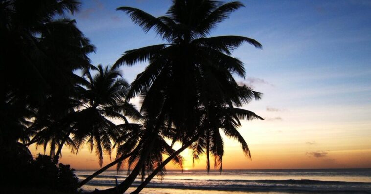 trump-eyes-purchase-of-strategic-islands-in-indian-ocean