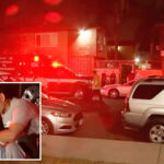 father-and-10-year-old-twin-sons-shot-dead-in-‘murder-suicide’-at-canoga-park-family-gathering